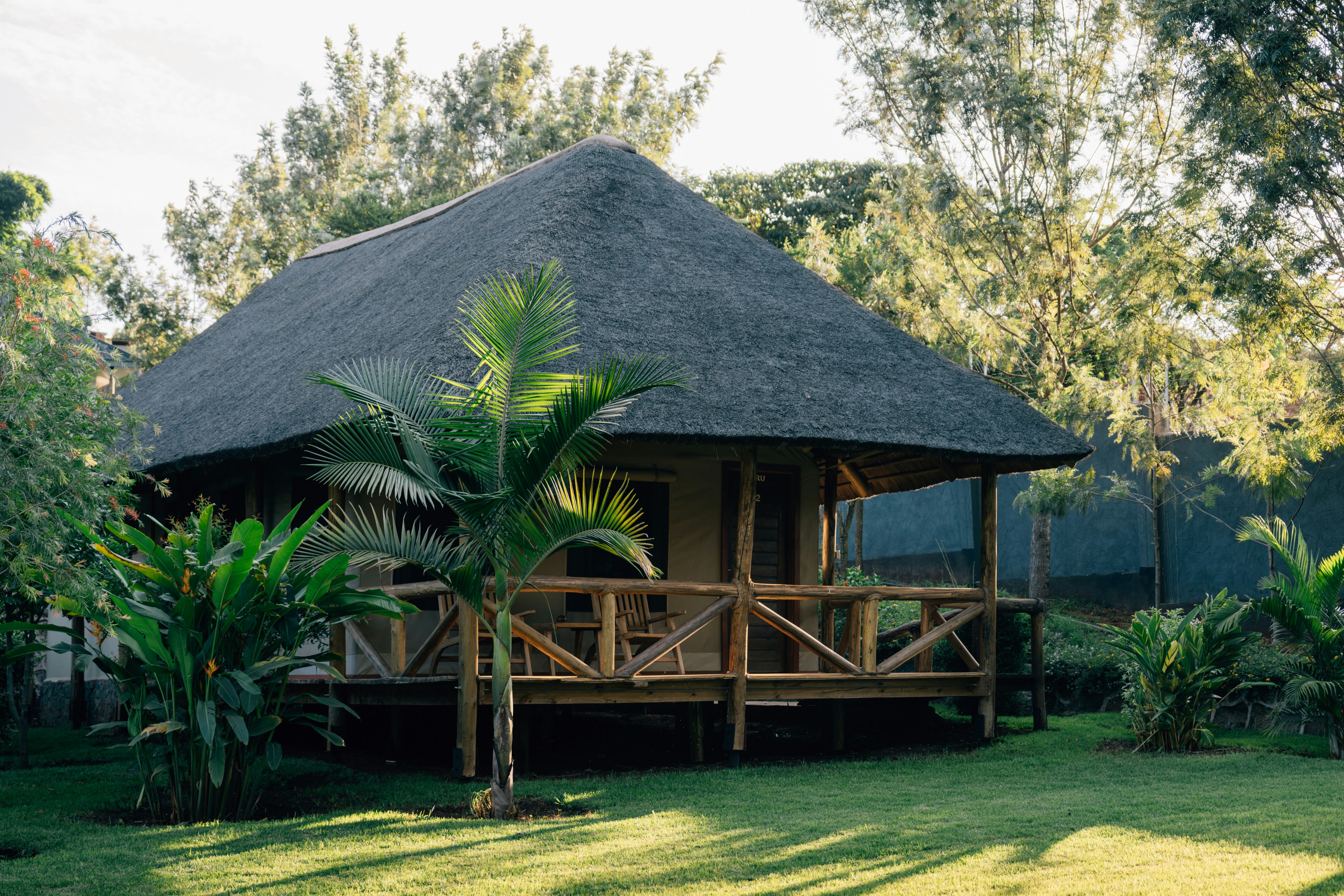 Rwanda Gorilla Trekking